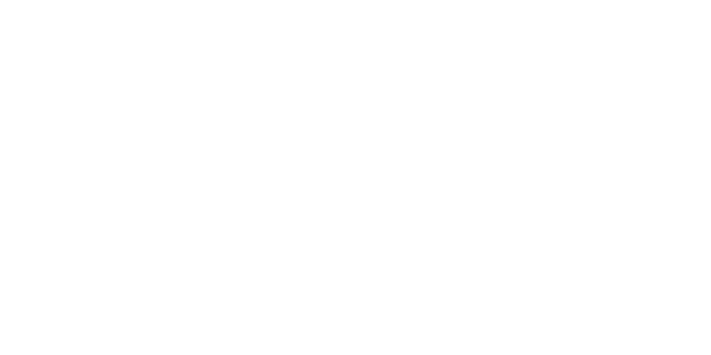 Bijelic i Co